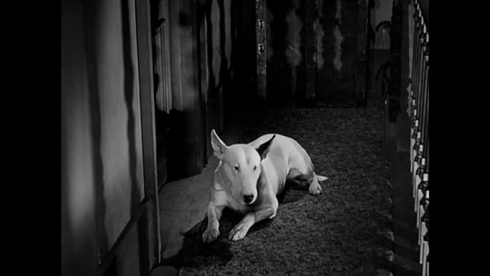 孤独な心の画像