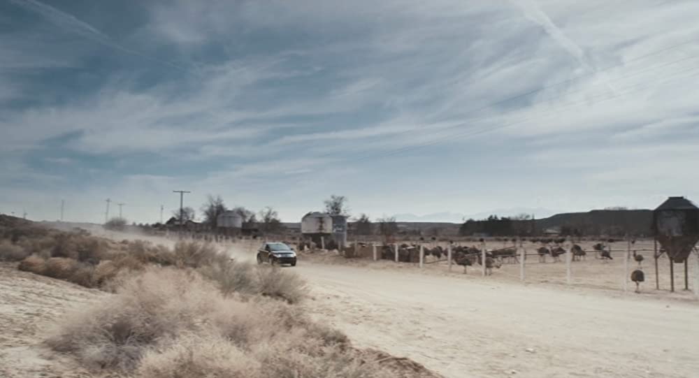 狂気の行方の画像