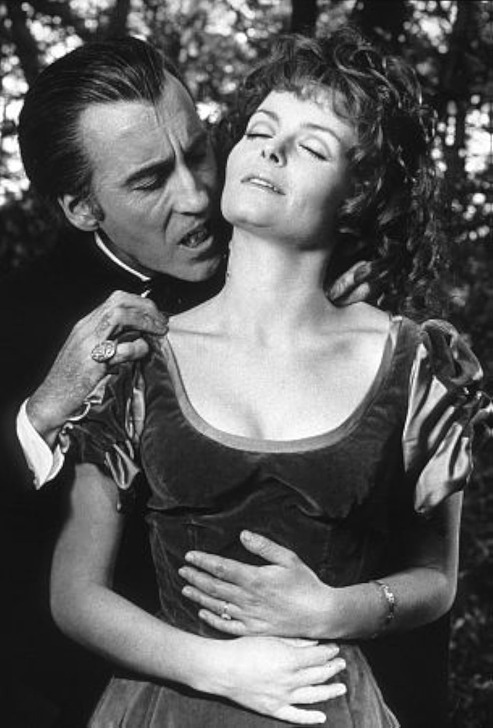 ドラキュラ血の味の画像