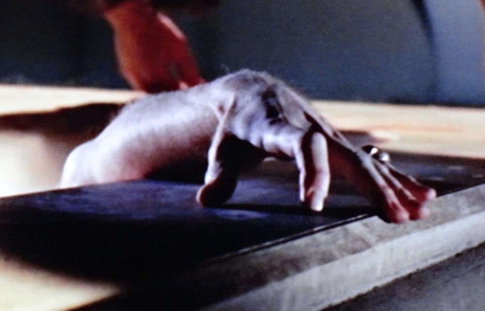 ドラキュラ血の味の画像