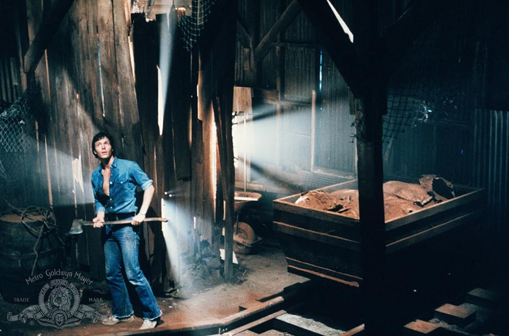 バーニングの画像