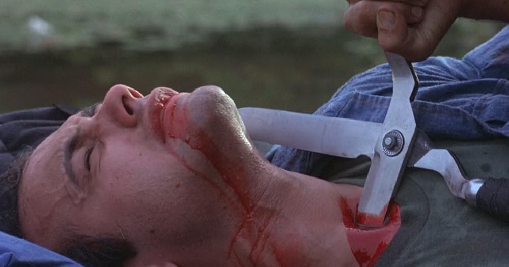 バーニングの画像