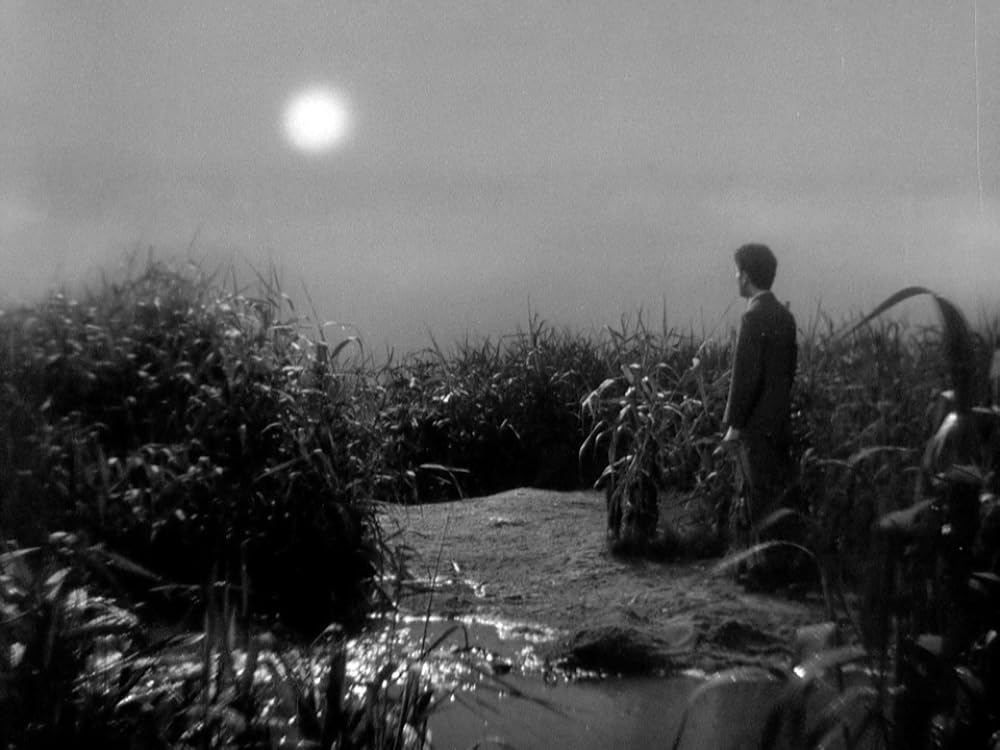 お遊さまの画像