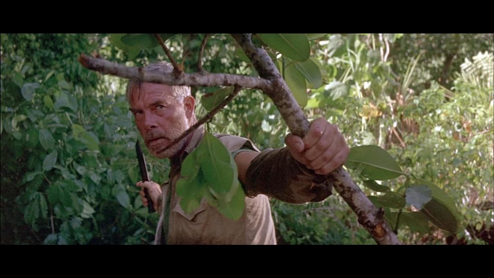 太平洋の地獄の画像