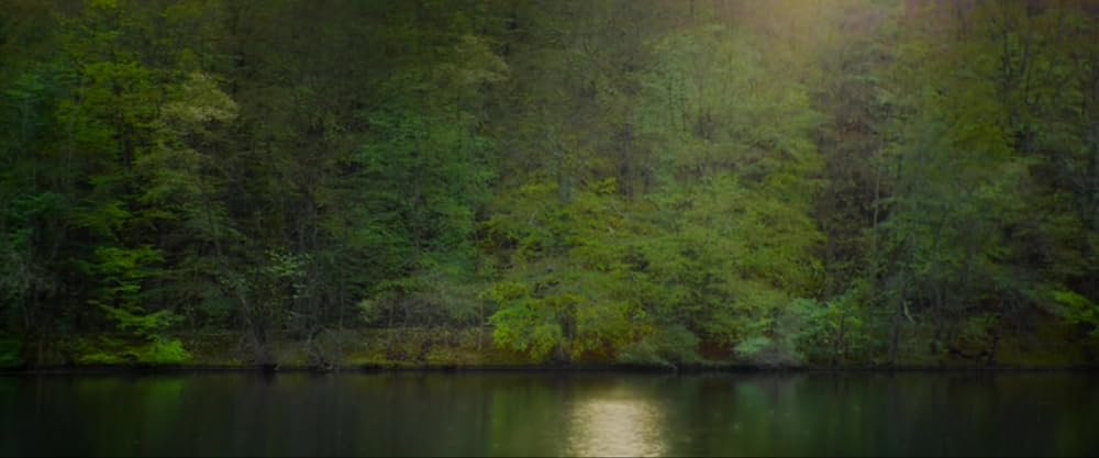 16歳、戦火の恋の画像