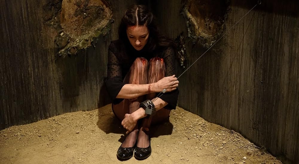 ザ・デア-理由なき監禁-の画像