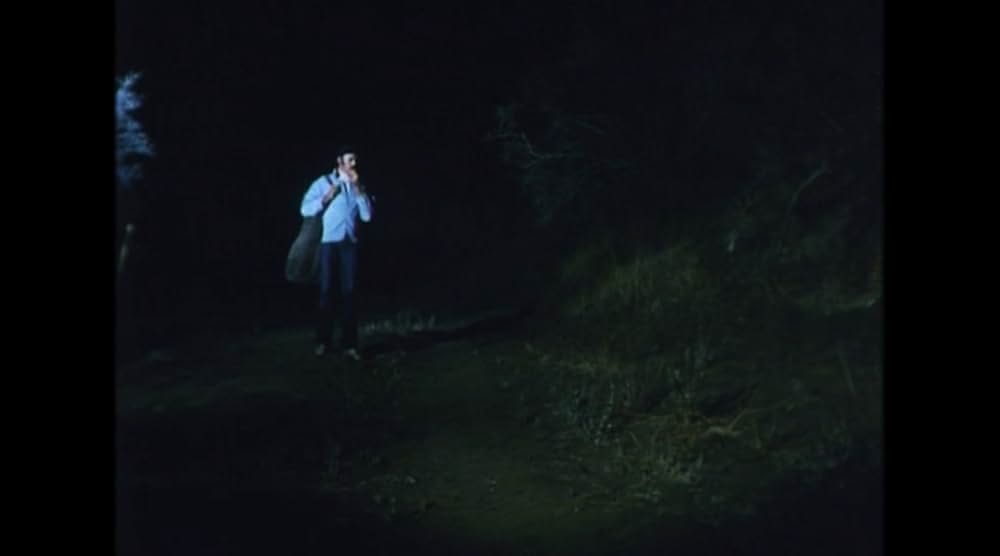 悪魔からの贈り物の画像