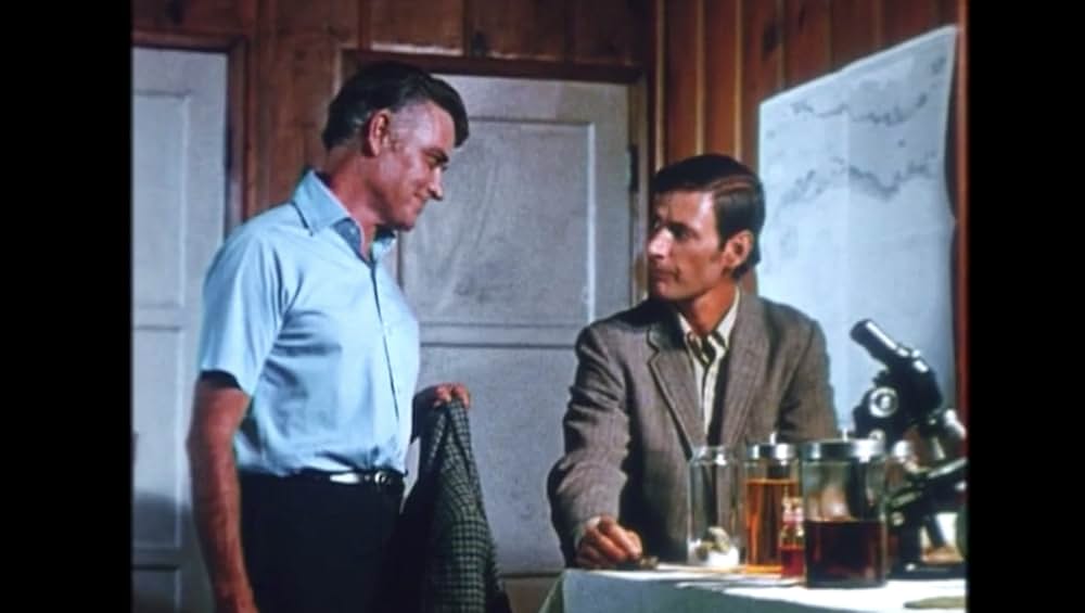 悪魔からの贈り物の画像