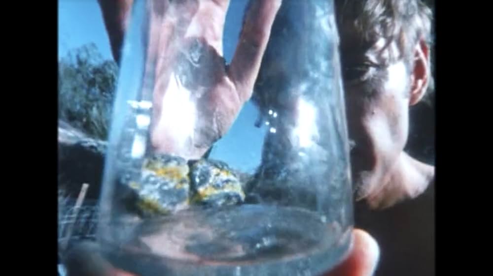 悪魔からの贈り物の画像