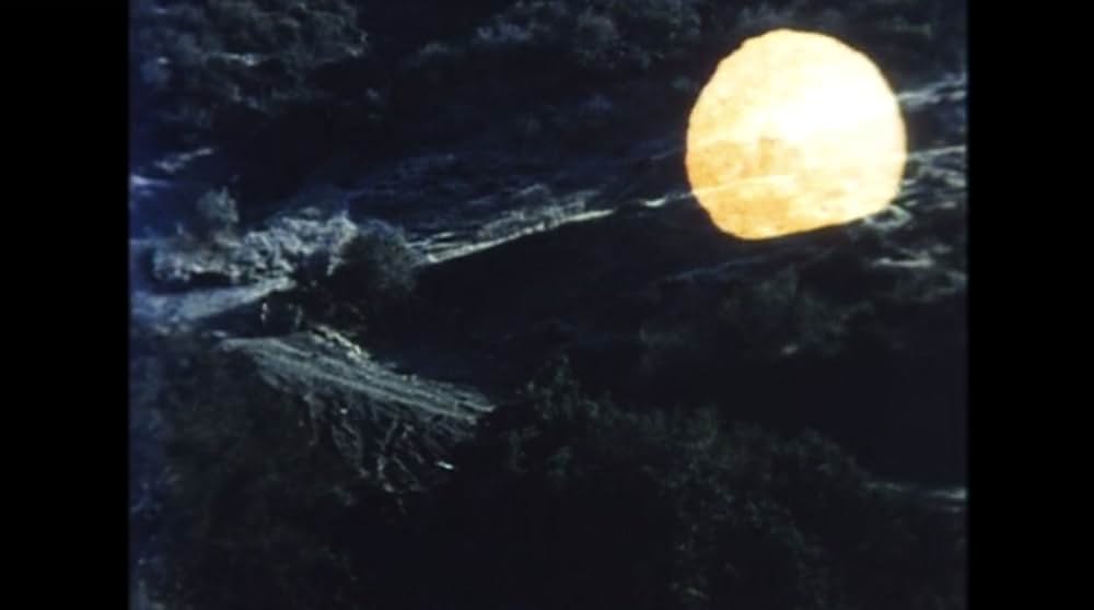 悪魔からの贈り物の画像