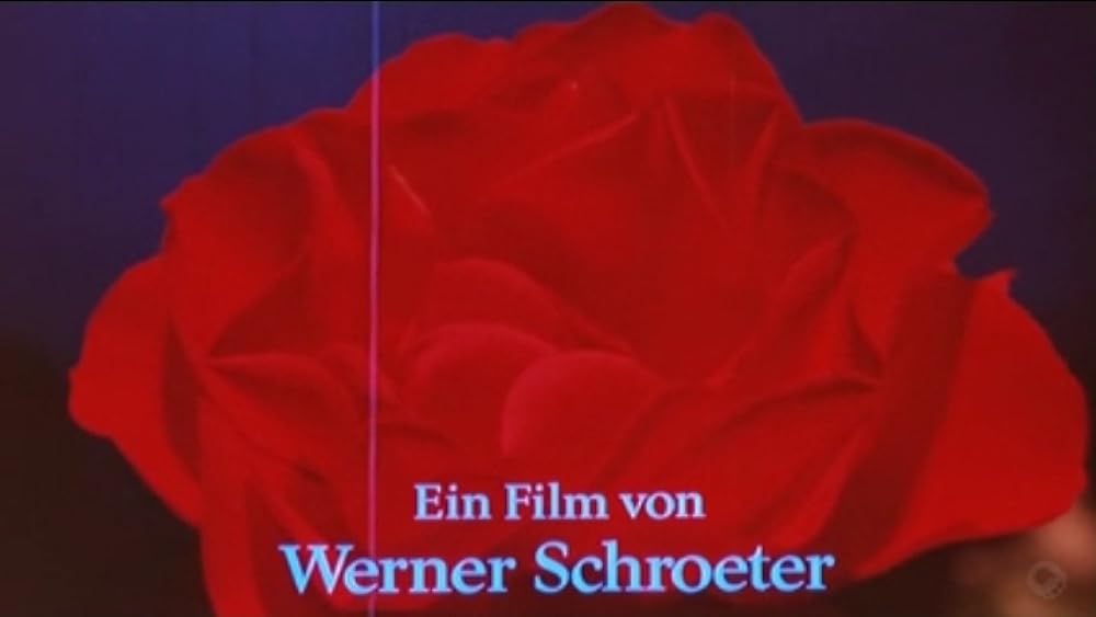 「薔薇の王国」の画像