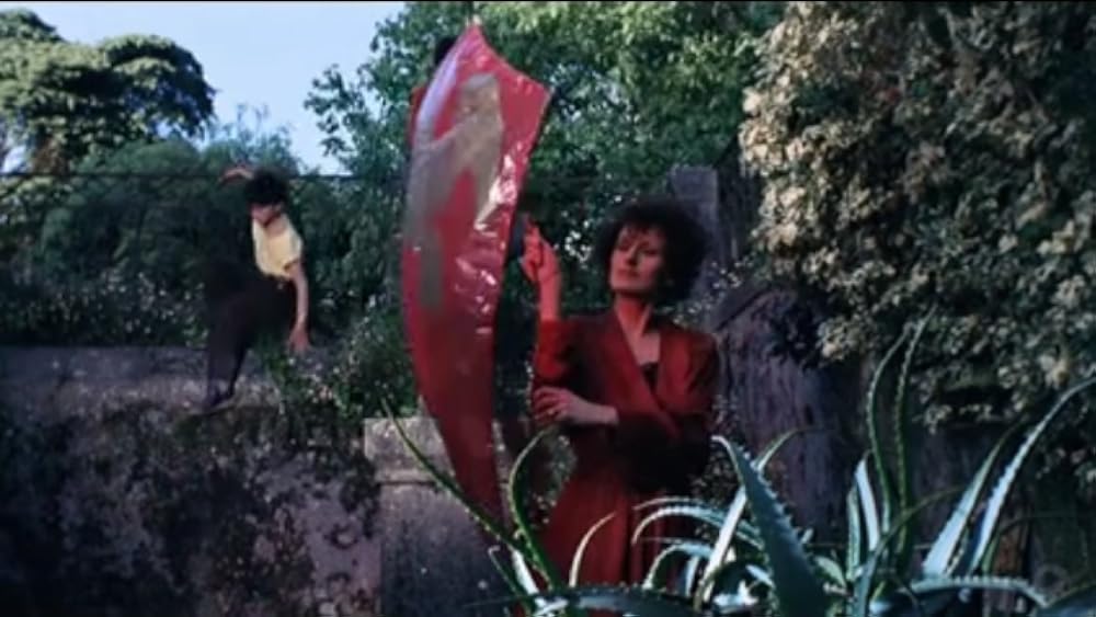 薔薇の王国の画像