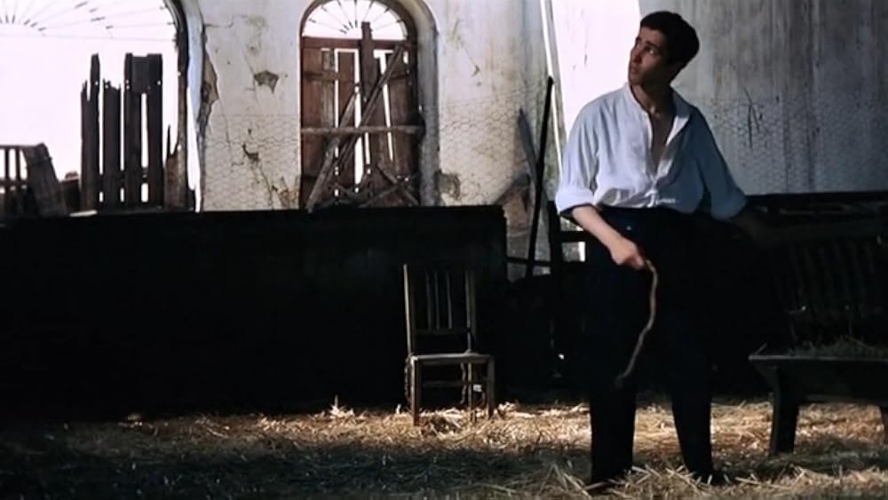 薔薇の王国の画像