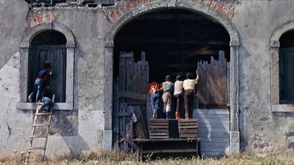 薔薇の王国の画像