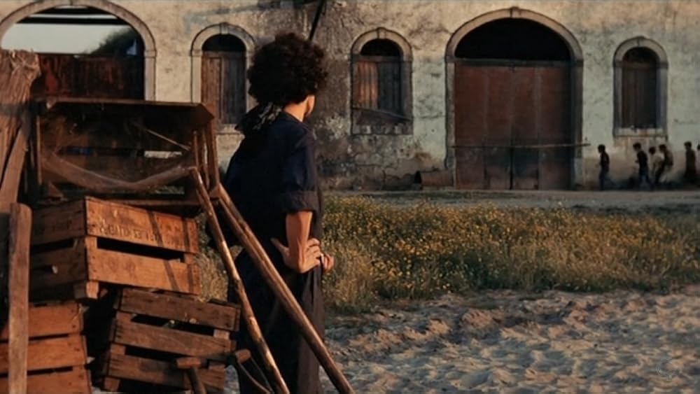 薔薇の王国の画像