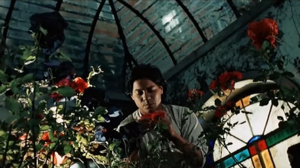 薔薇の王国の画像