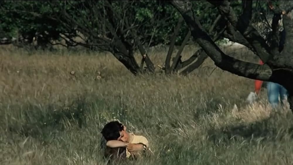 薔薇の王国の画像