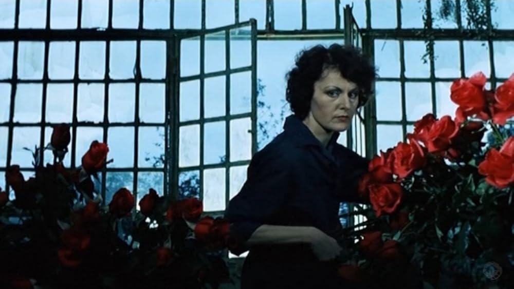 薔薇の王国の画像