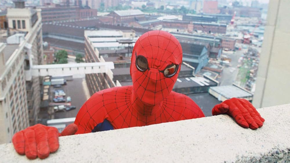 「スパイダーマン」の画像