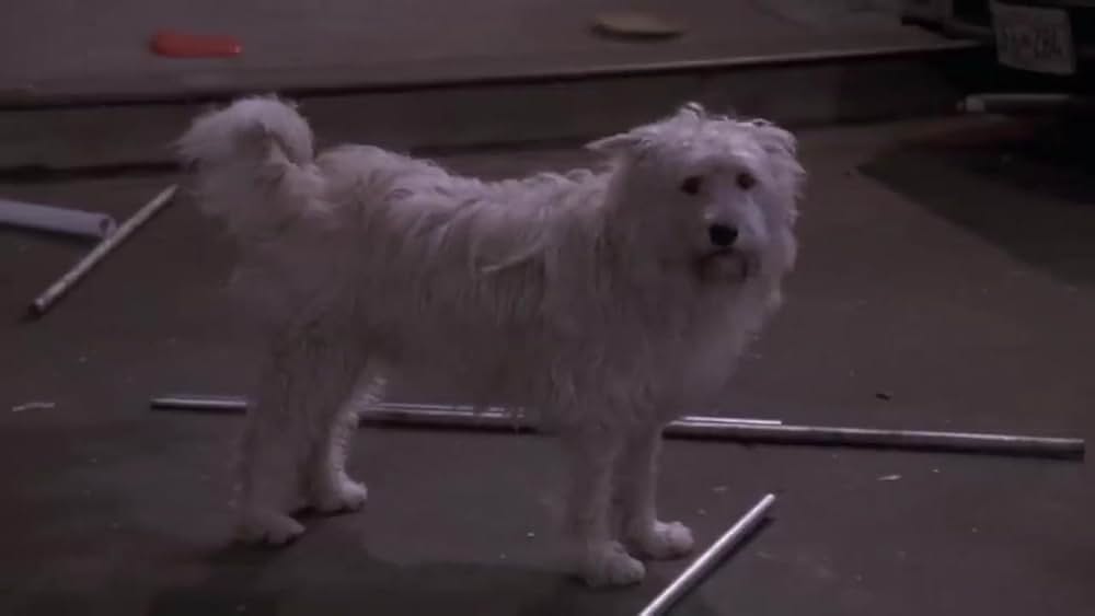 スーパーヒーロー／メテオマンの画像