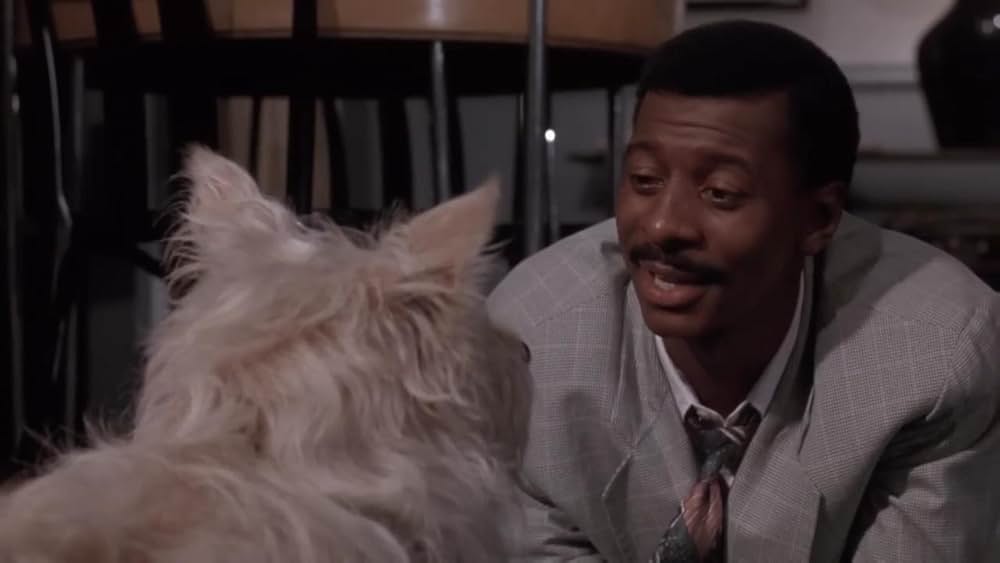 スーパーヒーロー／メテオマンの画像