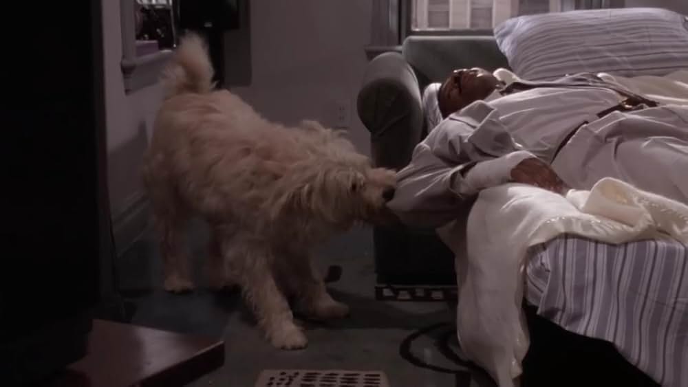 スーパーヒーロー／メテオマンの画像