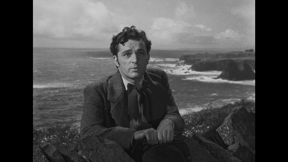 謎の佳人レイチェルの画像