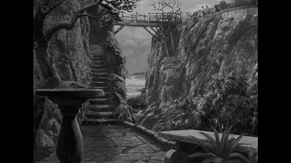 謎の佳人レイチェルの画像