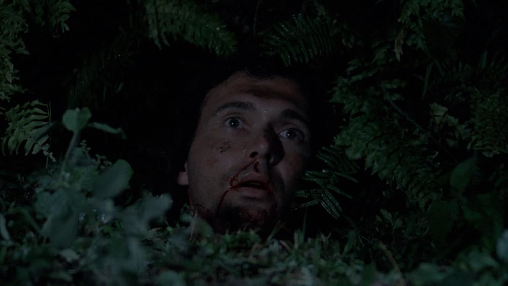 ゾンビ・アイランド・マサカーの画像