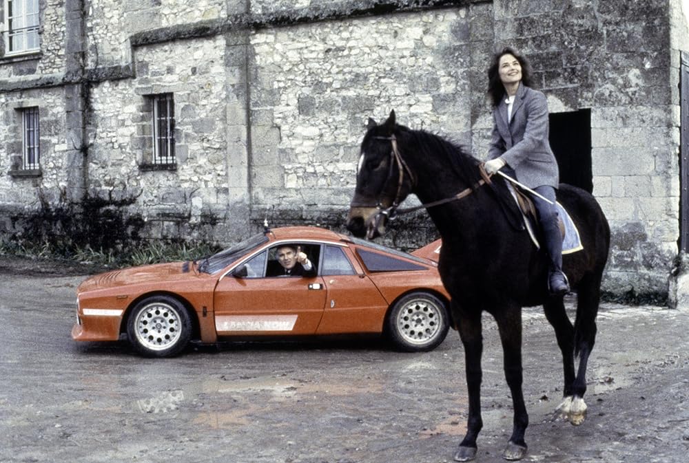 ヴィバラビィの画像