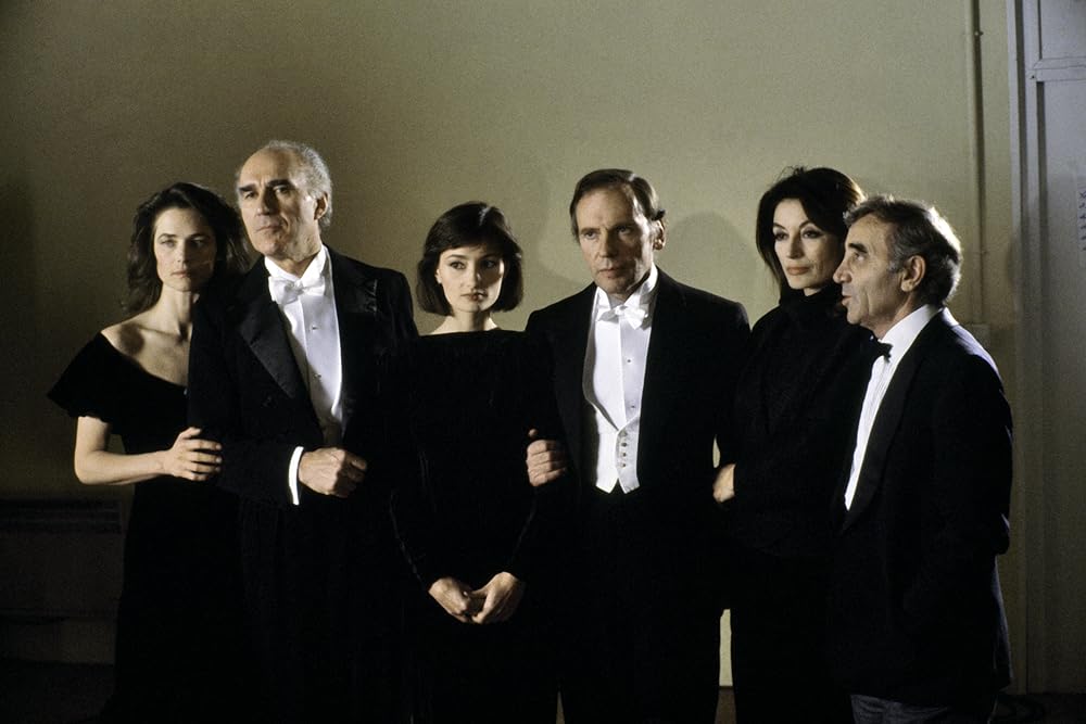 ヴィバラビィの画像