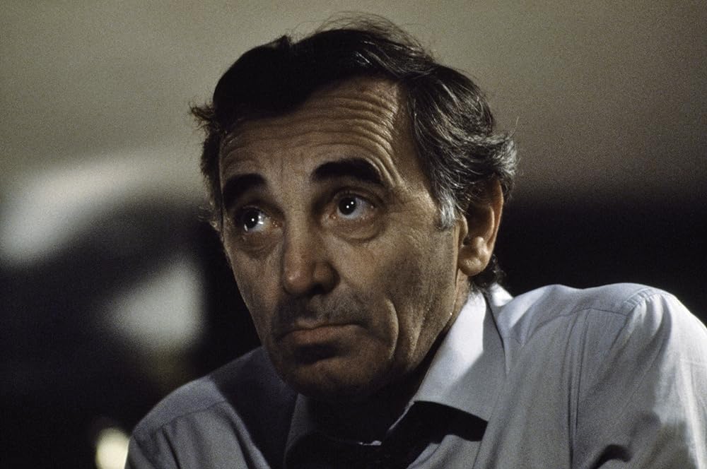 ヴィバラビィの画像