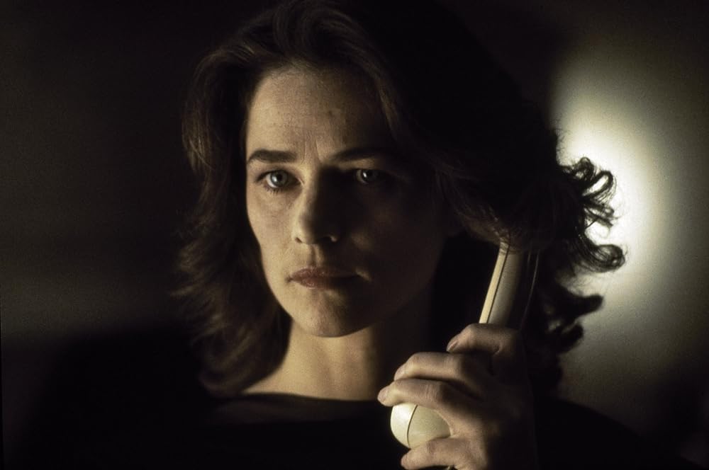 ヴィバラビィの画像