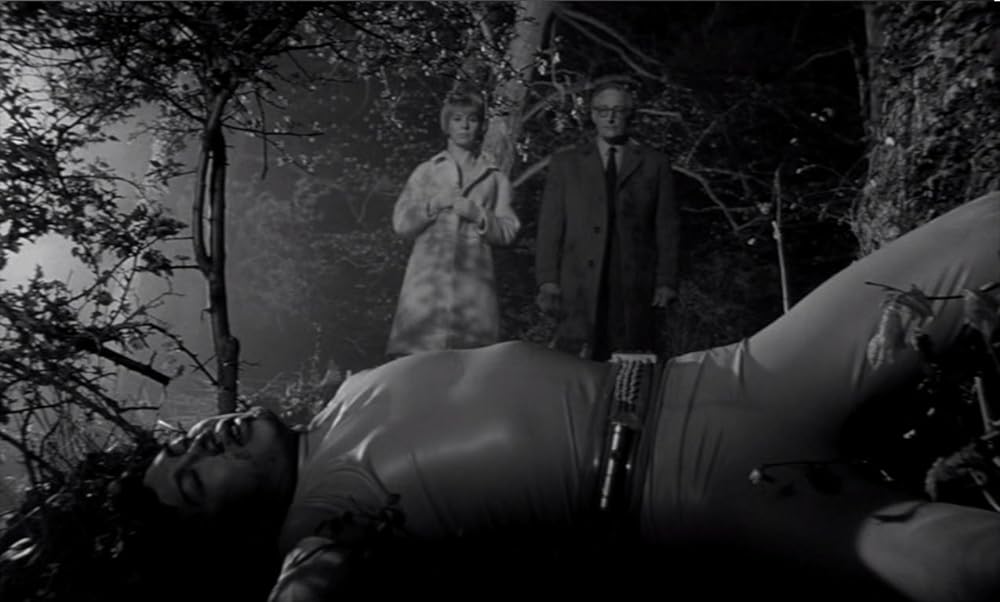 姿なき訪問者の画像