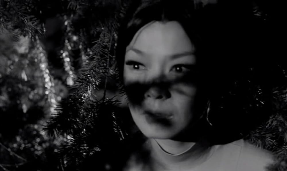 姿なき訪問者の画像