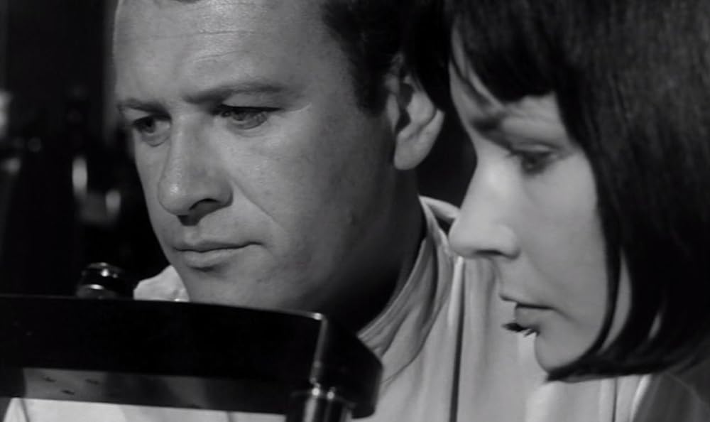 姿なき訪問者の画像