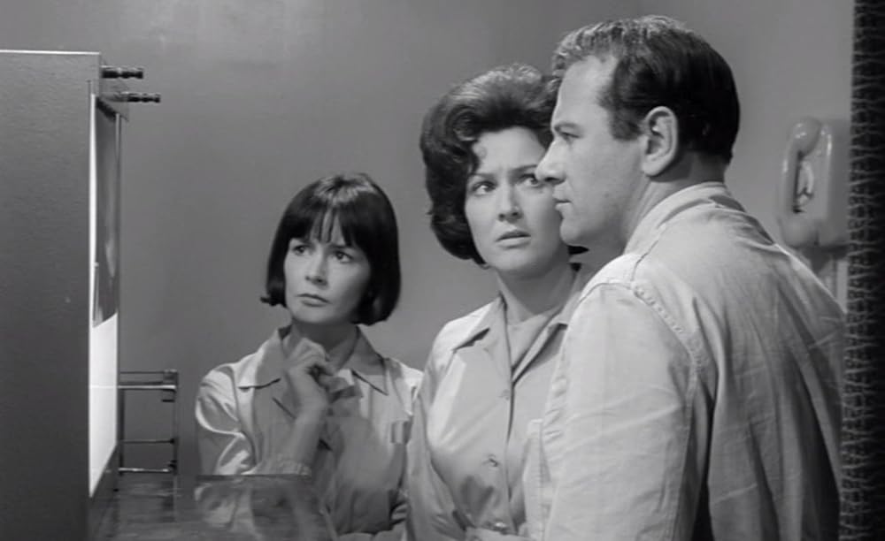 姿なき訪問者の画像