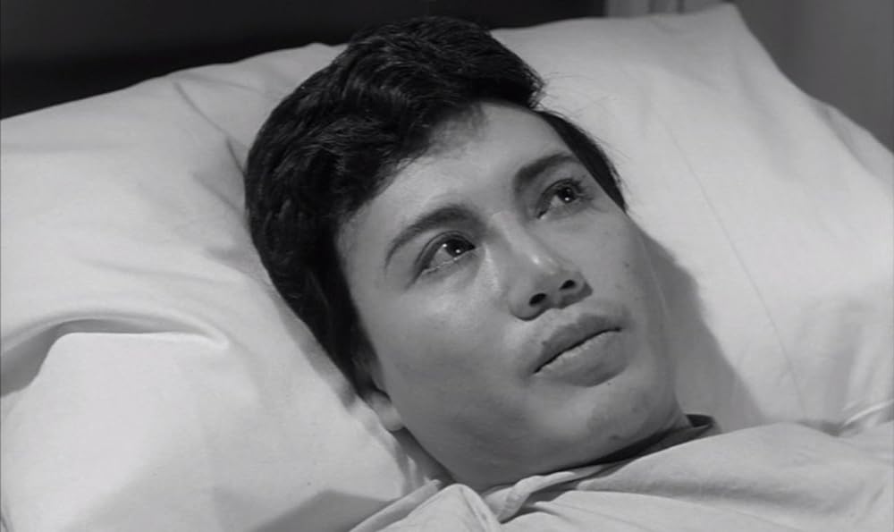 姿なき訪問者の画像