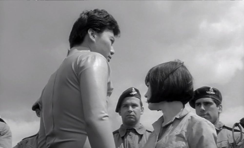 姿なき訪問者の画像