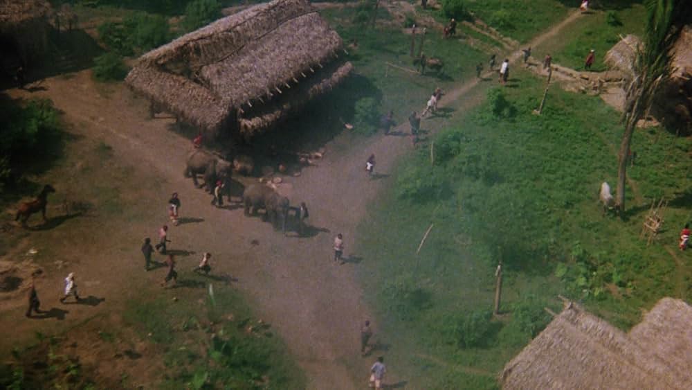 ピース・フォースの画像