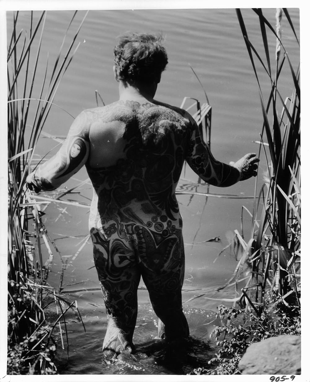 いれずみの男の画像