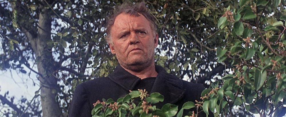 いれずみの男の画像