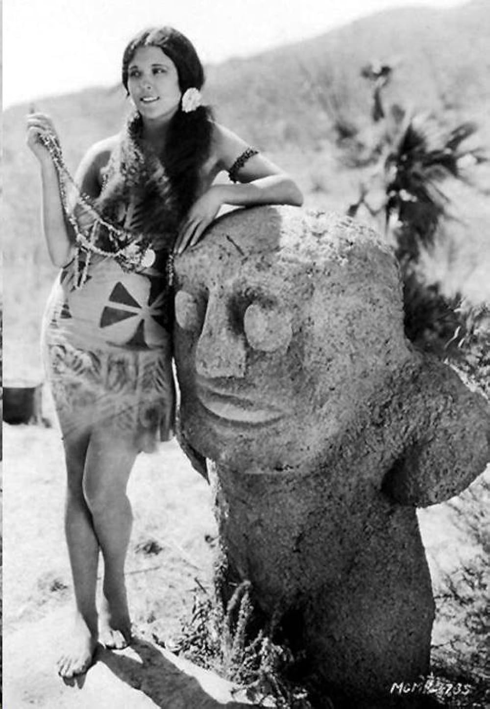 南海の白影の画像