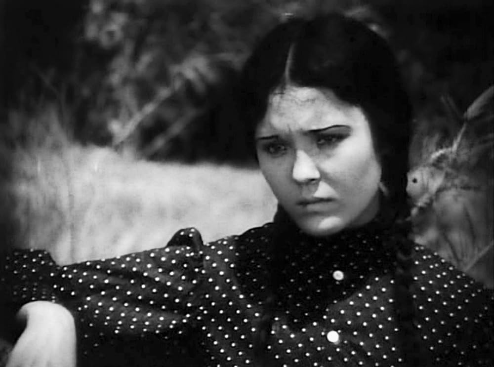 南海の白影の画像