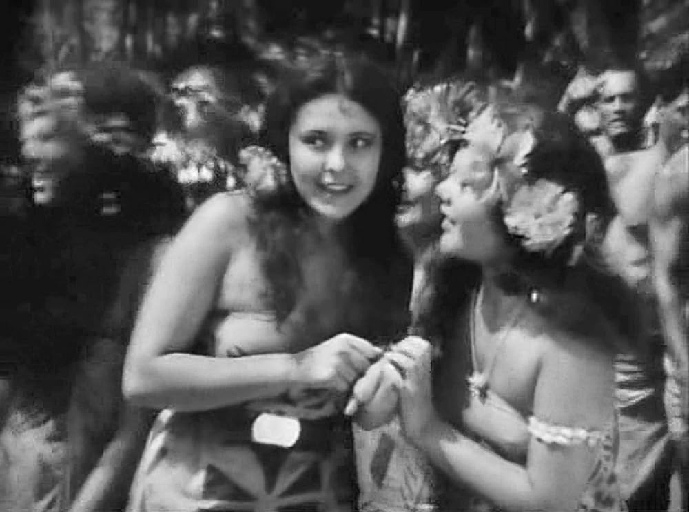 南海の白影の画像