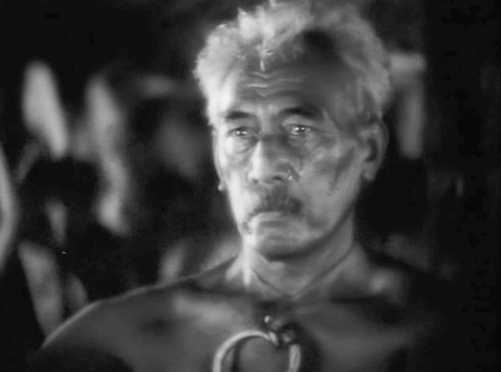 南海の白影の画像