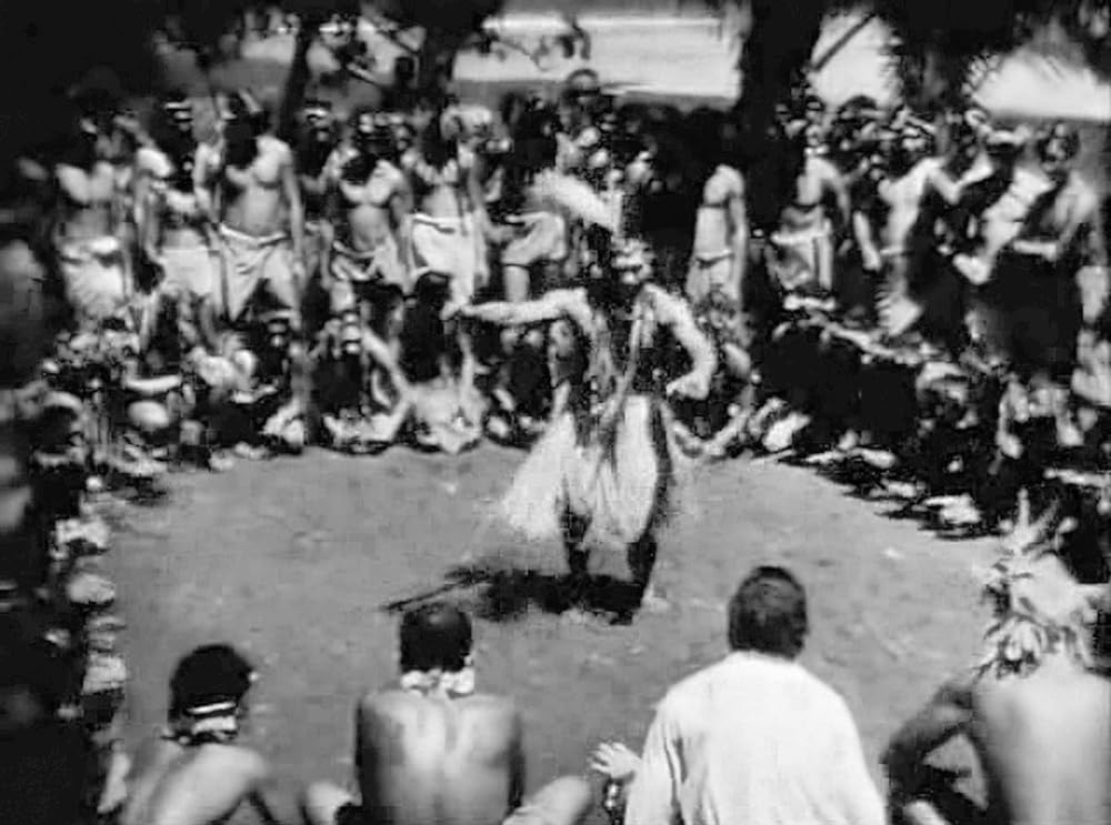 南海の白影の画像