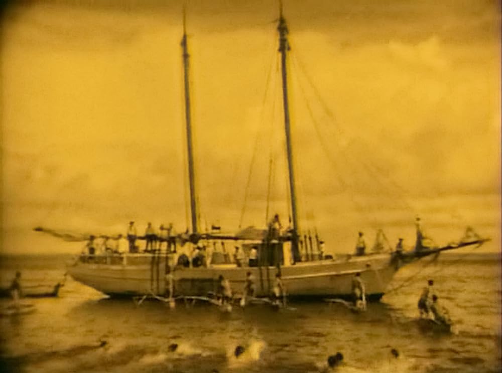 南海の白影の画像