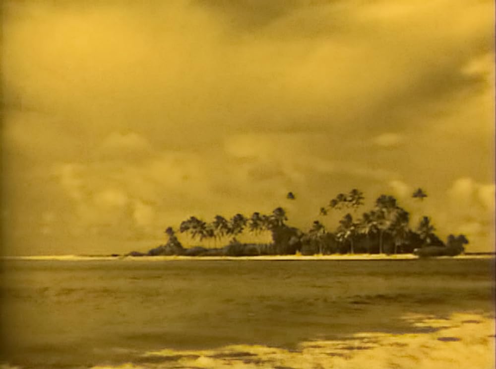 南海の白影の画像