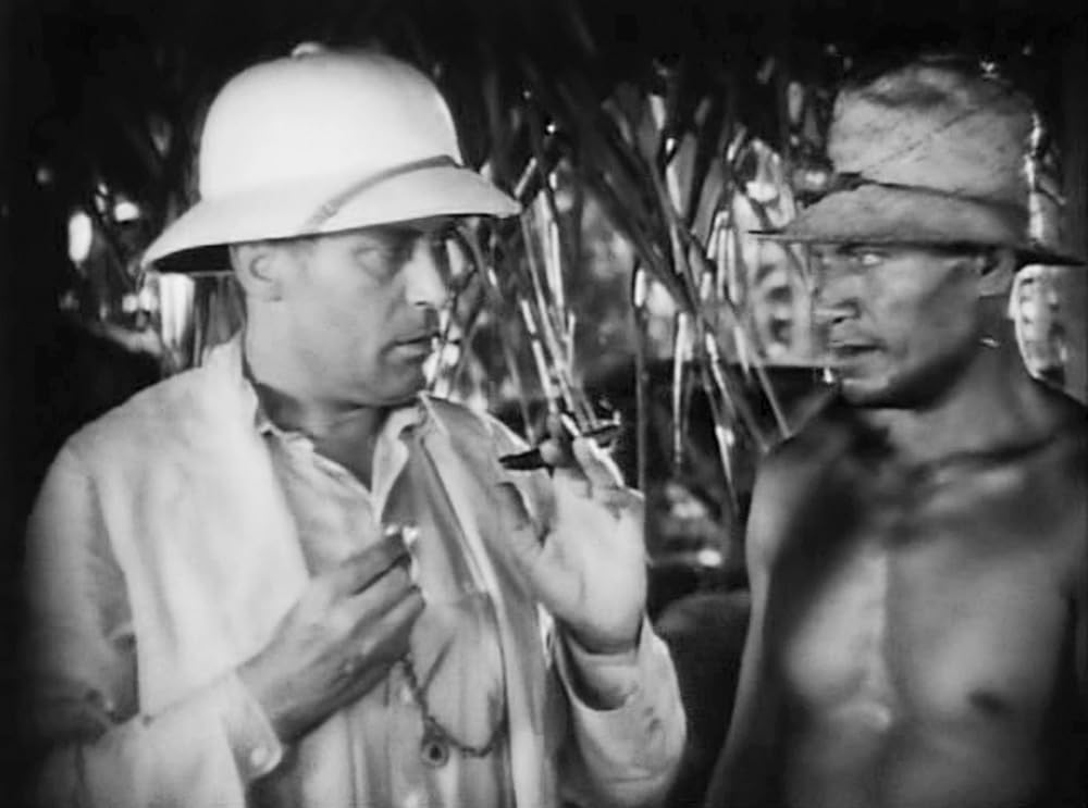 南海の白影の画像